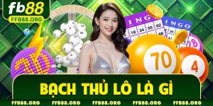 Bạch thủ lô là gì avt